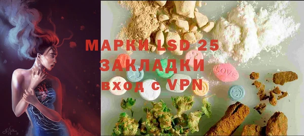 шишки Великий Новгород