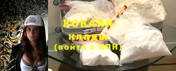 шишки Великий Новгород