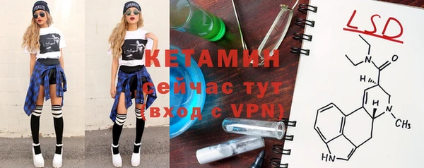 шишки Великий Новгород