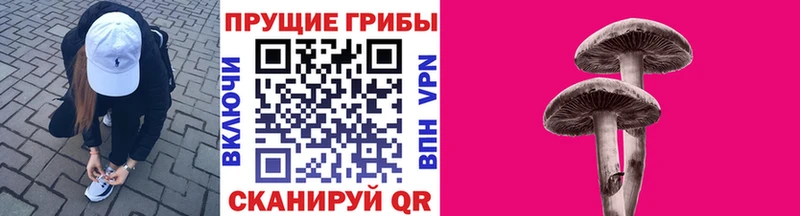 Псилоцибиновые грибы Cubensis  Ярцево 