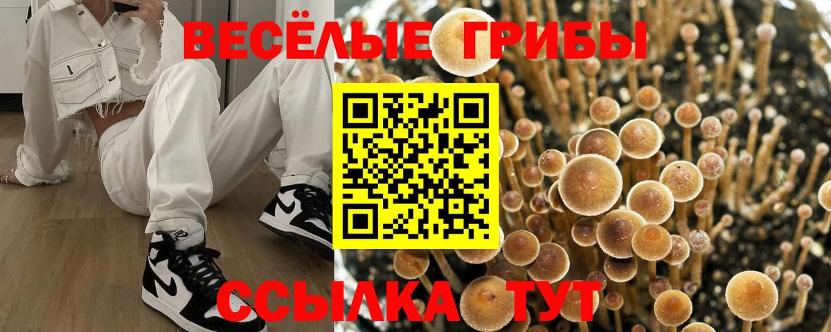 Ярцево  Псилоцибиновые грибы Magic Shrooms  Галлюциногенные грибы мицелий  Вход с VPN 